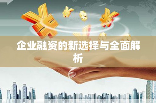 西双版纳企业融资的新选择与全面解析