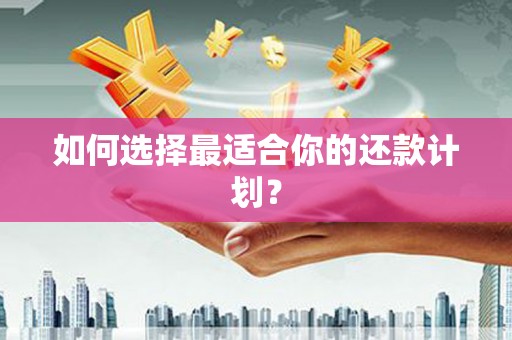 西双版纳如何选择最适合你的还款计划？