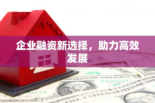 西双版纳企业融资新选择，助力高效发展